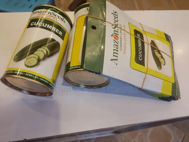 Cucumber Seeds - Good Size - 1