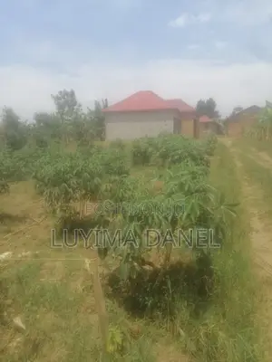 Plot 53ft x 60ft at Gayaza Namayina