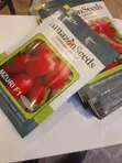 Muzuri F1 Tomato Seeds - 2