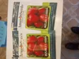 Muzuri F1 Tomato Seeds - 3