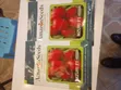 Muzuri F1 Tomato Seeds - 4