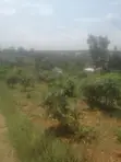 Plot 50x50ft, Gayaza Namayina Near Pentagon Church - 3