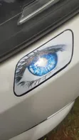 Denis Car Body Stickers & Vinyls - 3