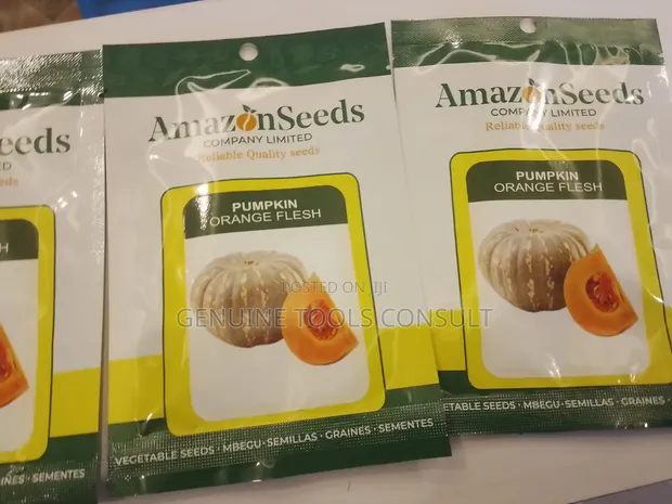 Pumpkin Seeds - Bumper Harvest Quality - 1
