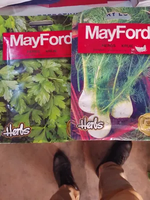 Celery, Oregano, Fennel, Wild Rocket, Catnip, Parsley Seeds