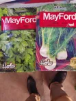 Celery, Oregano, Fennel, Wild Rocket, Catnip, Parsley Seeds - 1