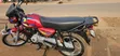 Bajaj CT 125X 2025 Red - 5