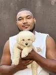 Purebred Maltese Puppy - 1-3 Months Old - 1