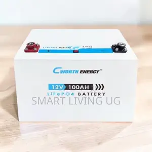 Cworth 100Ah Lithium Battery - Solar Power Storage