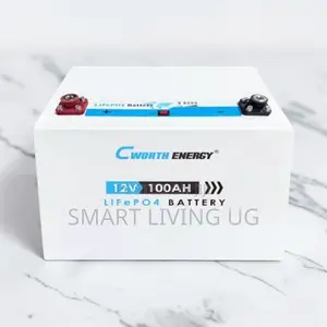 100Ah Cworth LiFePO4 Battery - Deep Cycle