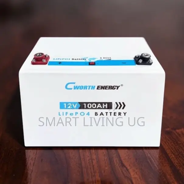 Cworth 100Ah Lithium Solar Battery - 12V - 1