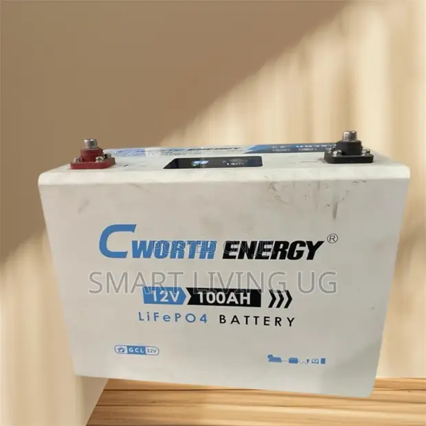 Original Cworth 100Ah Lithium Battery for Solar Systems - 1