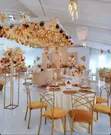SAFISA TENTS SOLUTIONS - Wedding Decor - 2