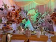 SAFISA TENTS SOLUTIONS - Event Organization - 3