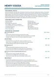 Professional CV Writing & Resume Design Services - 2