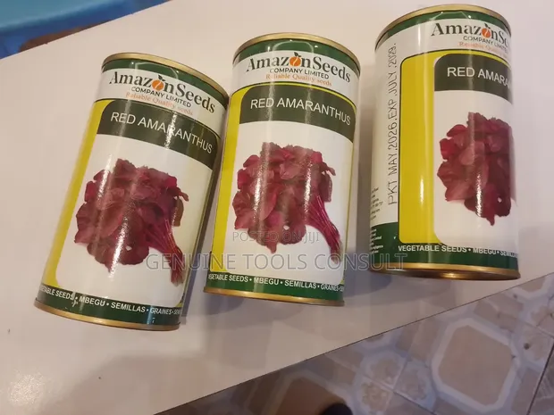 Bugga Vegetable Seeds - High Quality - 1