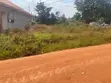 Commercial Plot for Sale in Mazi, Ssisa (6 Decimals) - 1