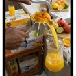 Heavy-Duty Manual Fruit Press Juicer - 3