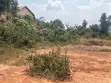 Land for Sale - Gayaza, Busika (Zirobwe Road) - 2