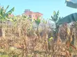 Land for Sale - Seeta Bajjo - 4