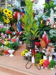 Decorative Planters for Home/Office - 3
