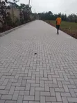 Expert Paving Services: Planning, Excavation, Laying & Finishing - 1