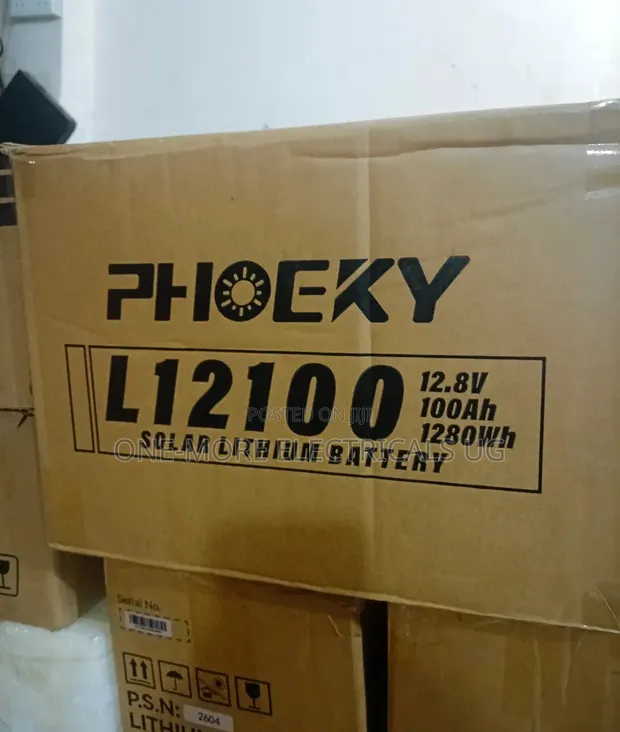 100Ah 12.8V Lithium Iron Phosphate Battery - 1