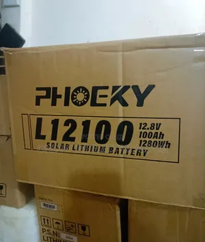 100Ah 12.8V Lithium Iron Phosphate Battery