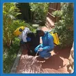 Fumigation Services - 15 Years Experience - 4
