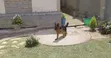 3-6 Month Female Purebred German Shepherd - 3