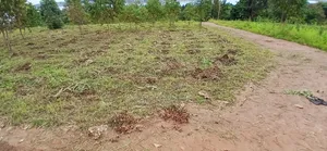 Residential Land for Sale in Entebbe Kasanje