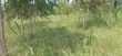 Residential Land for Sale in Entebbe Kasanje - 2