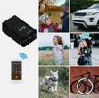 Mini Global GPS Tracker - 2