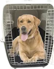 Pets Empire Portable Travel Dog Crate Kennel - 2