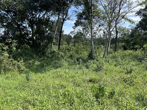 Plot of Land for Sale in Mukono Namayiba - 1