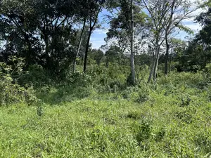 Plot of Land for Sale in Mukono Namayiba
