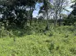 Plot of Land for Sale in Mukono Namayiba - 1