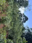 Plot of Land for Sale in Mukono Namayiba - 2