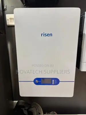 Risen LiFePO4 100Ah Battery - 5 Year Warranty