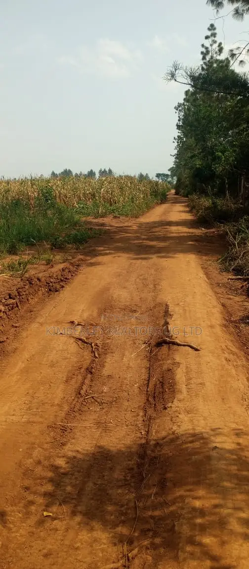 Land for Sale - Luweero, 470 Acres - 1