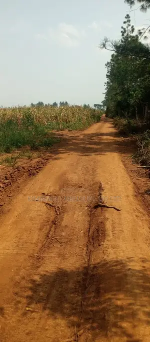 Land for Sale - Luweero, 470 Acres