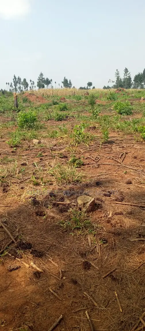 Land for Sale - Kira Parliamentary Sacco - 1