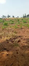 Land for Sale - Kira Parliamentary Sacco - 1