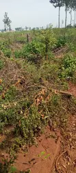 Land for Sale - Kira Parliamentary Sacco - 2