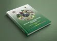 Company Annual Report & Profile Design Services - 2