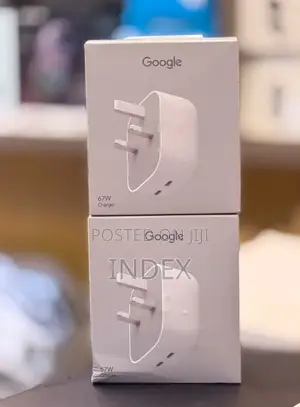 Google Pixel Flex 67W USB-C Dual Port Adapter