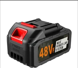 48V Replacement Rechargeable Battery for Car Washers