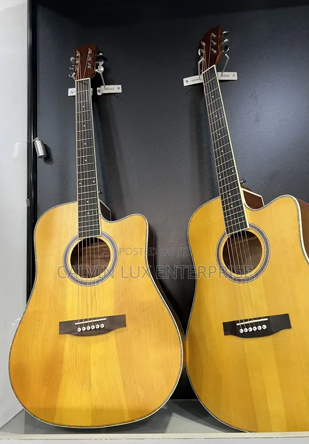 Ibanez Professional Acoustic Guitar - Brand New - 1