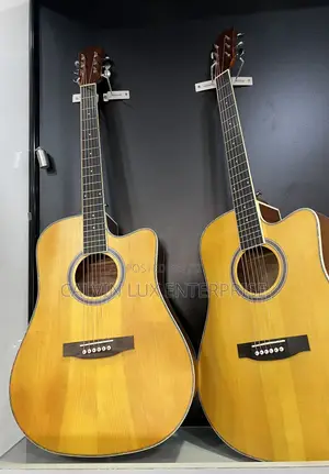 Ibanez Professional Acoustic Guitar - Brand New