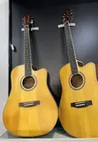 Ibanez Professional Acoustic Guitar - Brand New - 1